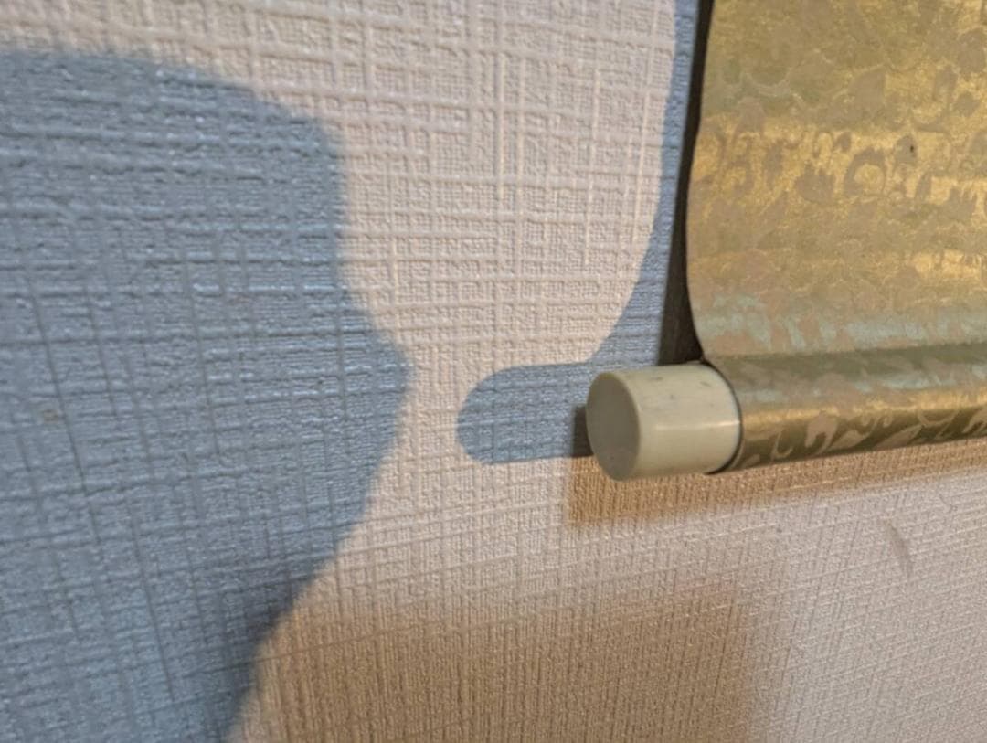 真作】掛軸 鯉図 優雅に泳ぐ双鯉 静謐な水中表現 滑らかな筆致 S149