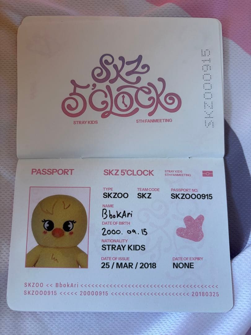 Stray Kids SKZOO PLUSH テディポガリ BbokAri