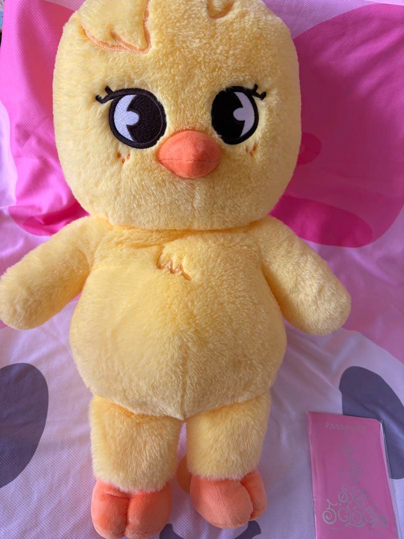 Stray Kids SKZOO PLUSH テディポガリ BbokAri