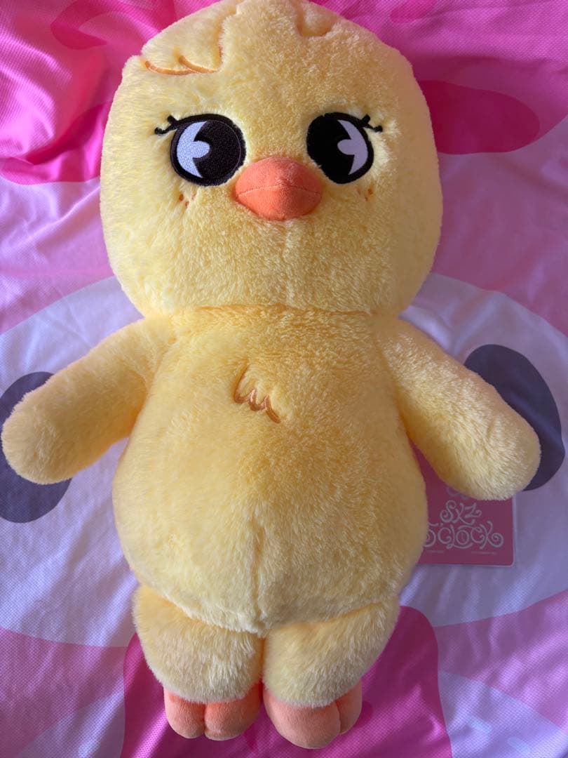 Stray Kids SKZOO PLUSH テディポガリ BbokAri