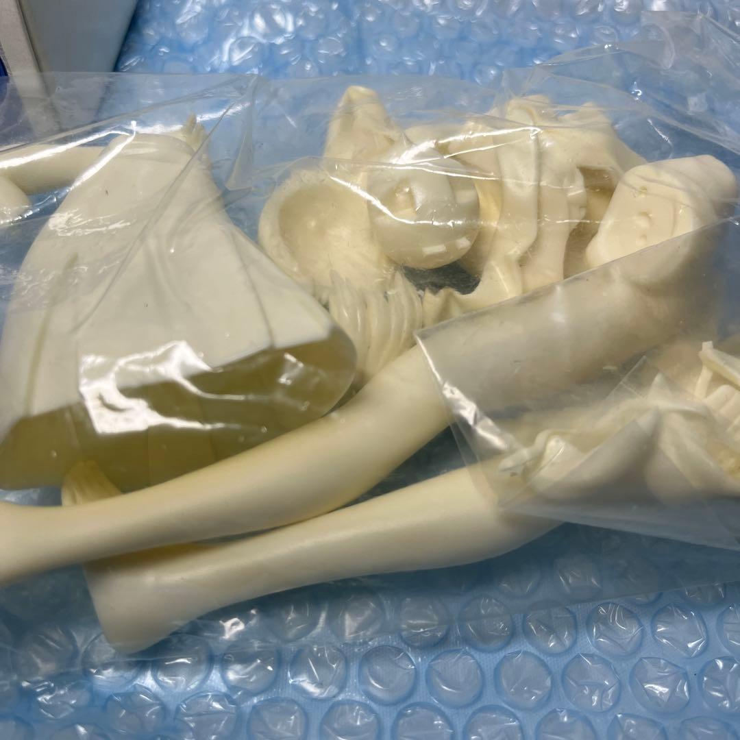 未使用　アミエ・グラン 綾波レイ Sein(ザイン) 1/6 ガレージキット