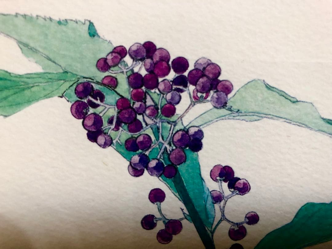 外山康雄  版画　その③  紫式部