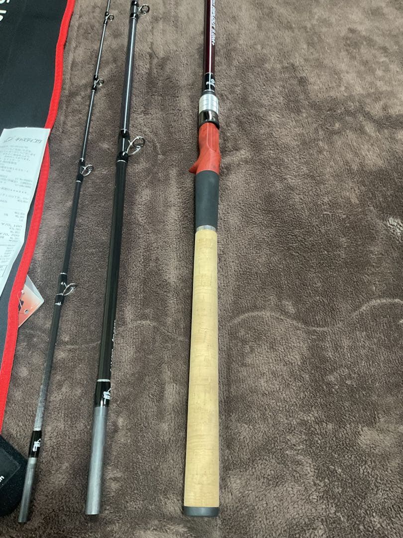 フィッシュマン　Beams RIPLOUT 9.0m+