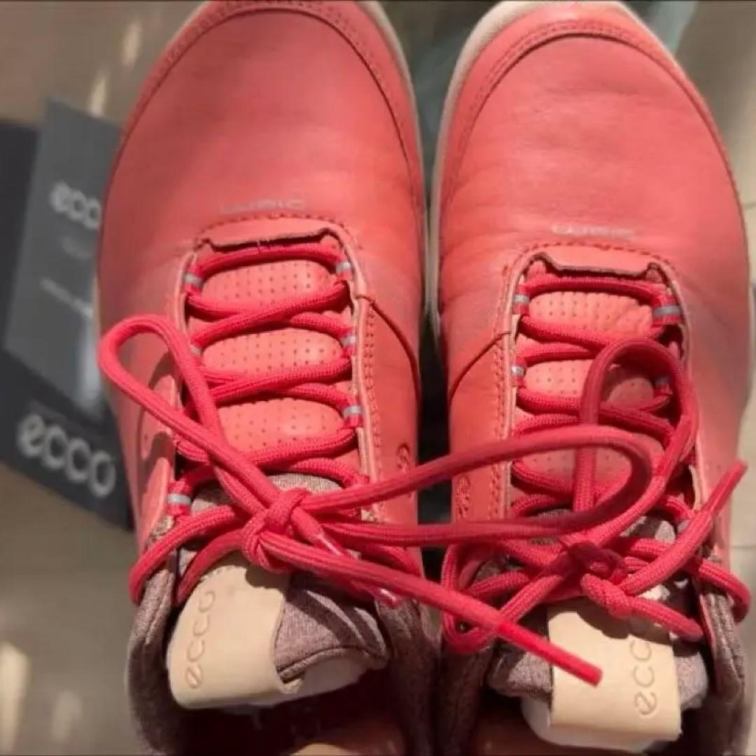 エコー　Ecco レディス ゴルフシューズ　23.5cm