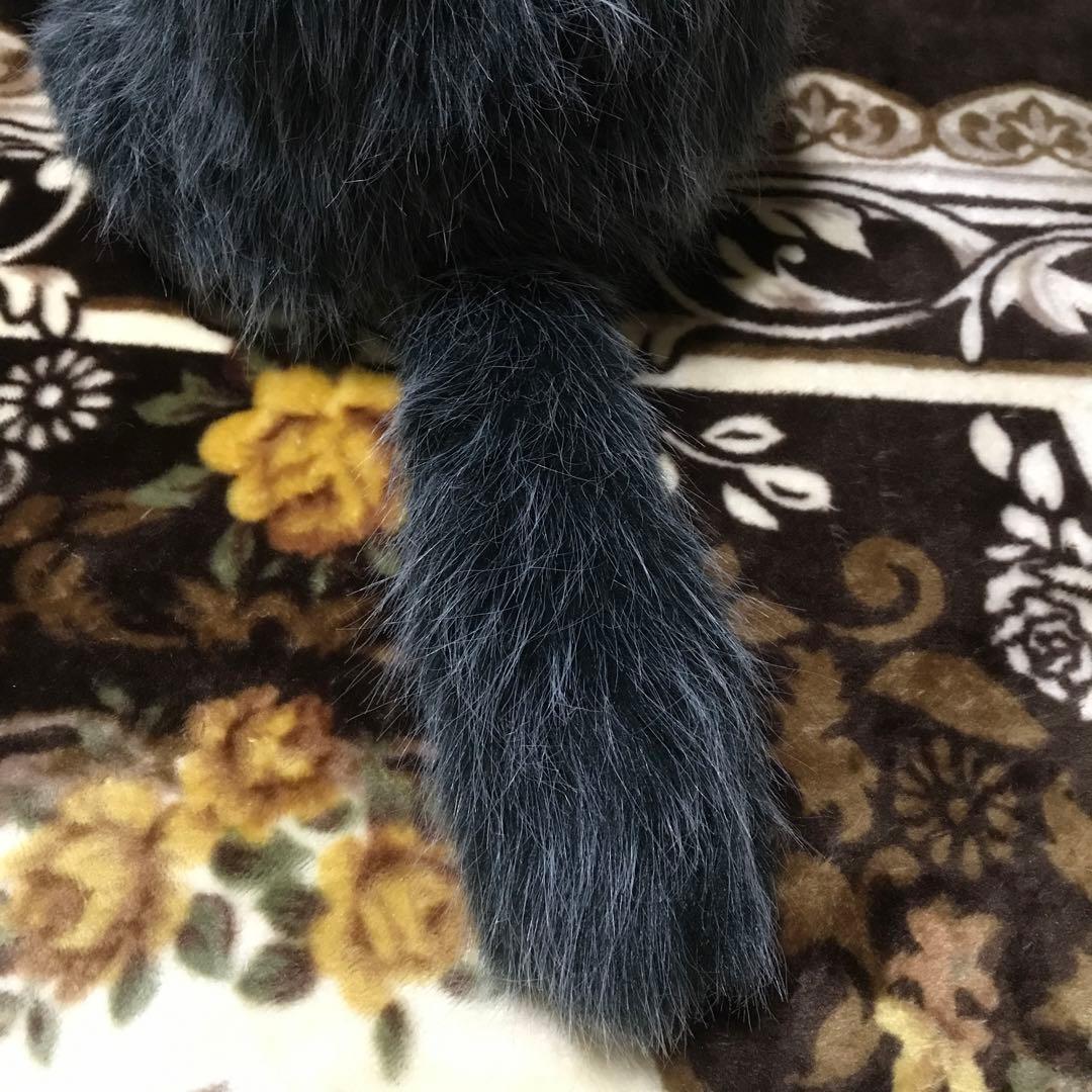 ココです❗️Cudolly カドリー　販売終了品　希少　入手困難❣️