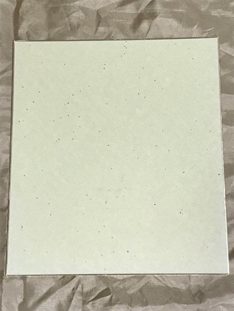 本物！直筆サイン】河北麻友子（当時10代） ガールズアワード ViVi