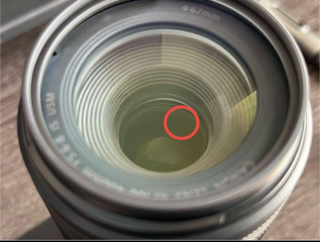 (大塚)Canon RF100-400mm F5.6-8 IS USM