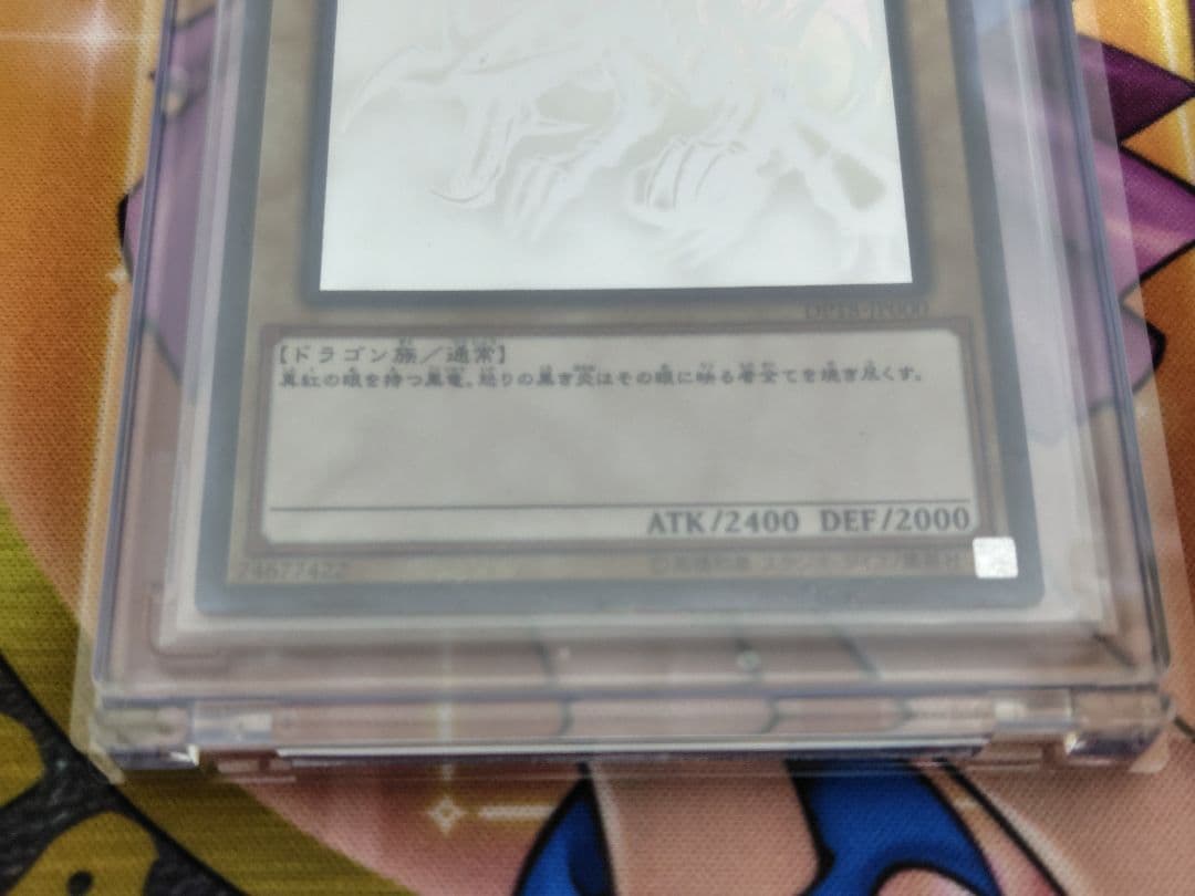 恵*丸様 ブルーアイズオルタナティブホワイトドラゴン・レドアイズ ホロ 各１枚