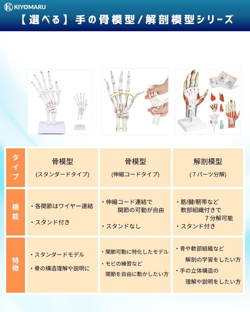 新品・未使用】KIYOMARU 手解剖模型 7パーツ分解 人体模型 手関節