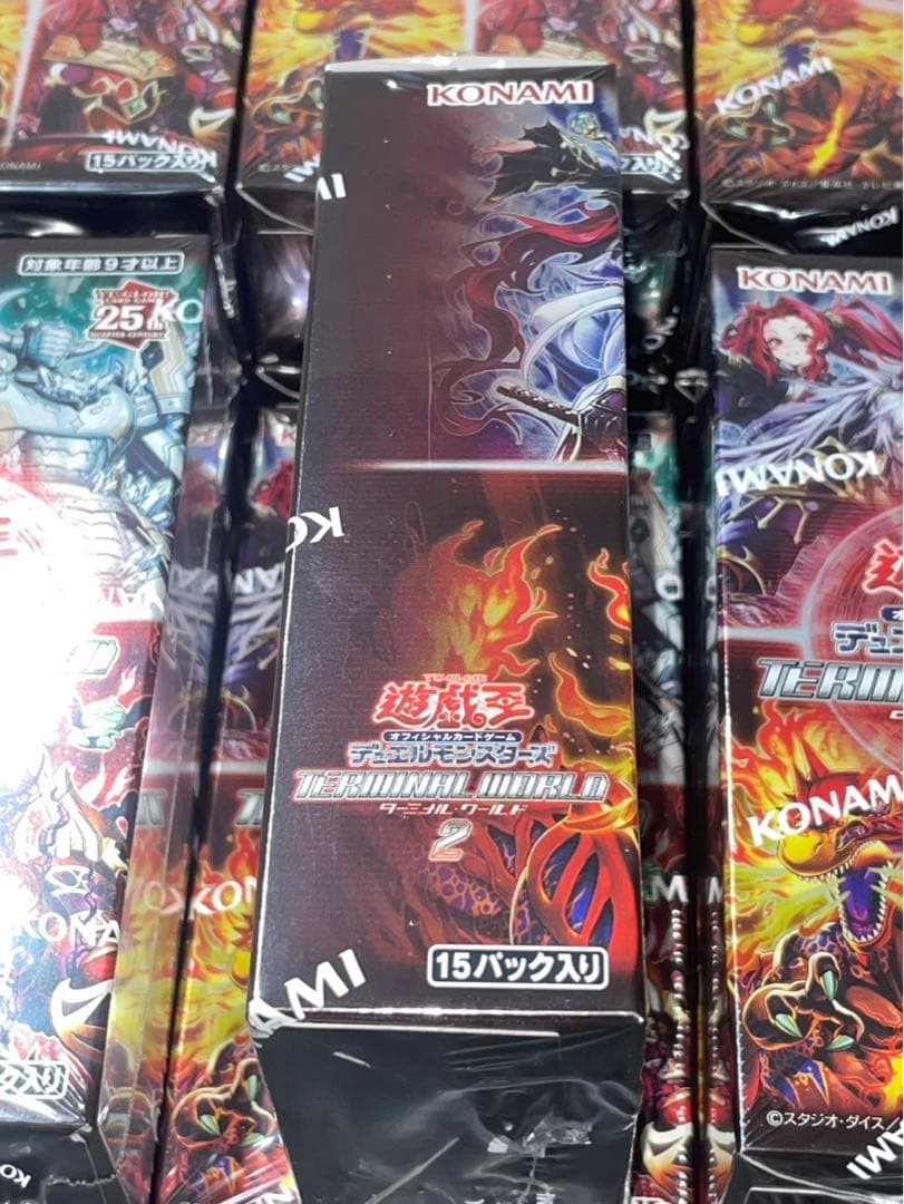 遊戯王　TERMINAL WORLD 2 ×24箱　ターミナルワールド