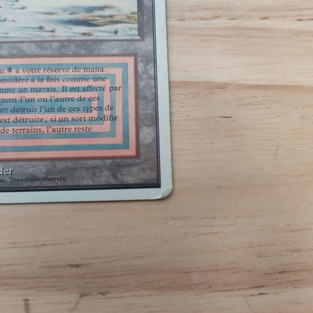 1994 Badlands NM-MT マジック：ザ・ギャザリング フランス語版