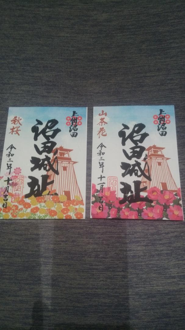 令和三年、沼田城限定御城印、タイプＢ、1月から12月まで、コロナ御城印、全13枚