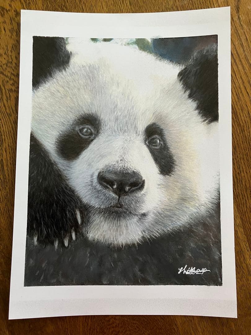 “やっほい” 色鉛筆画 パステル パンダ