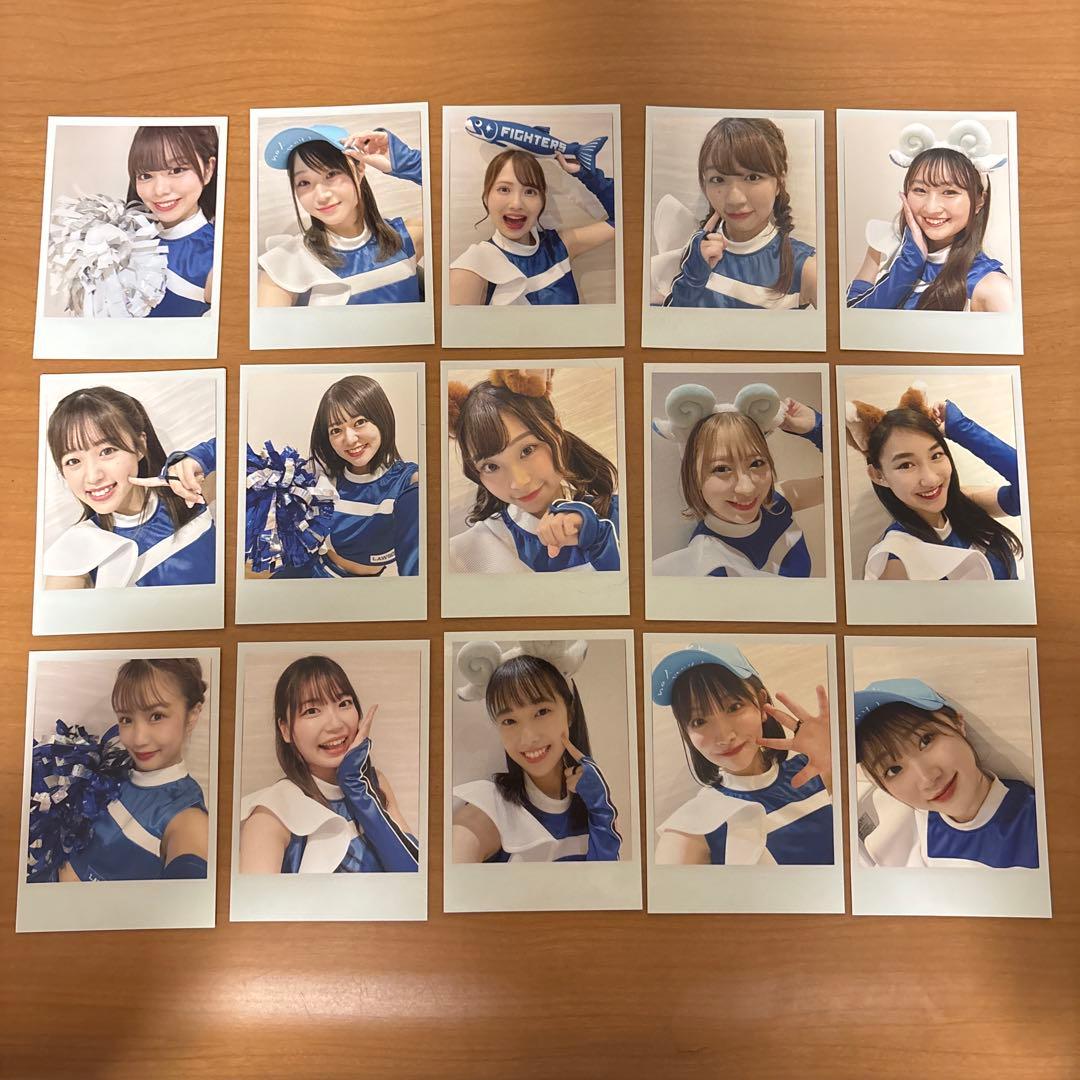 ファイターズガール チェキ 15枚セット し*ん様 ファイターズガール チェキ風カード2枚 ハードブロマイド2枚