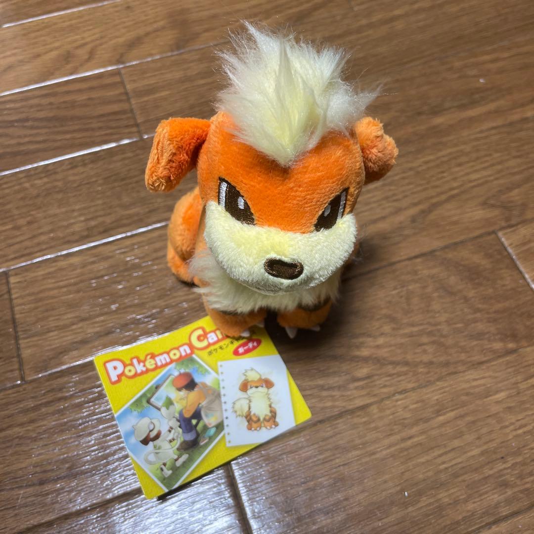 超激レア！　ポケモンキャンバス 2010 ポケモンセンター限　ぬいぐるみセット