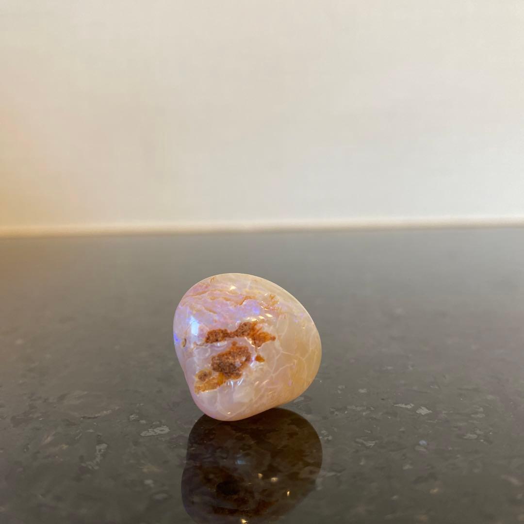 希少品♡入手困難】貝化石オパール 化石 二枚貝 自然光にて撮影 - メルカリ