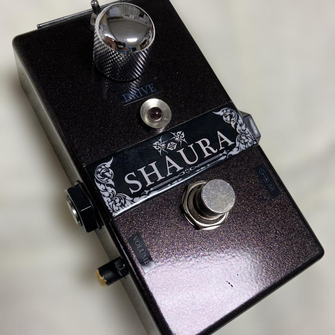 ギター R.E.SCustomRichard Efectric sound SHAURA