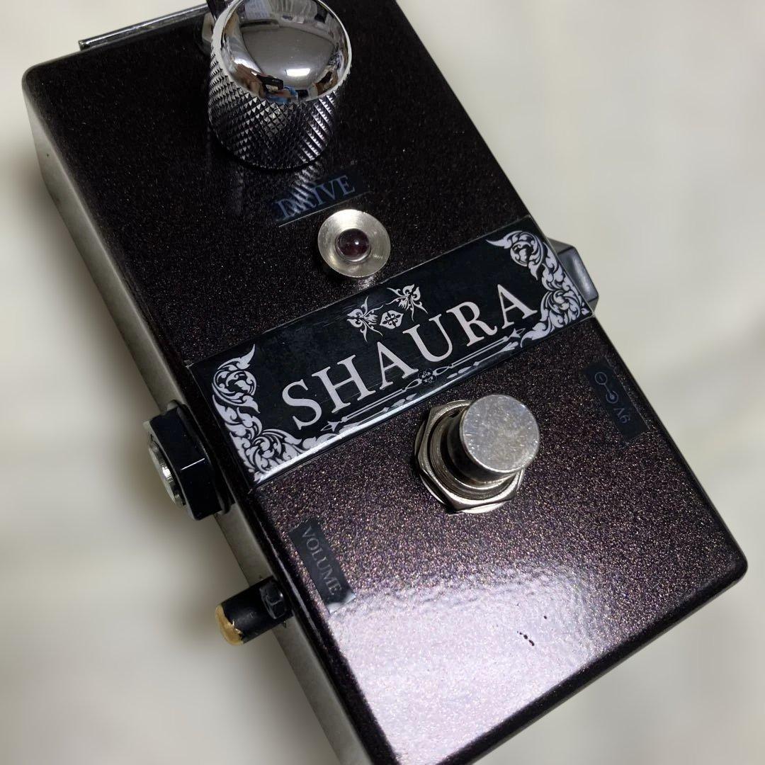 ギター R.E.SCustomRichard Efectric sound SHAURA