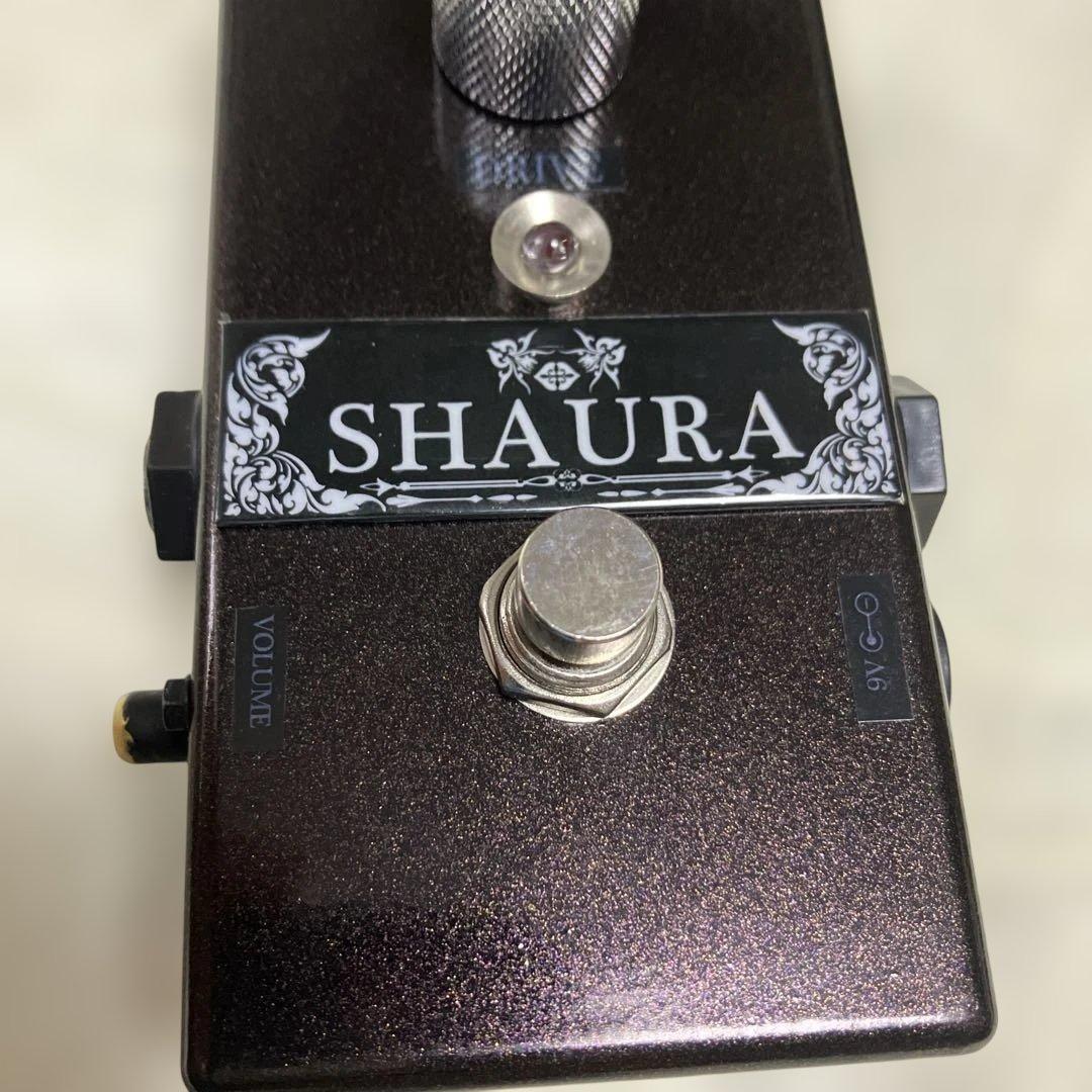 ギター R.E.SCustomRichard Efectric sound SHAURA