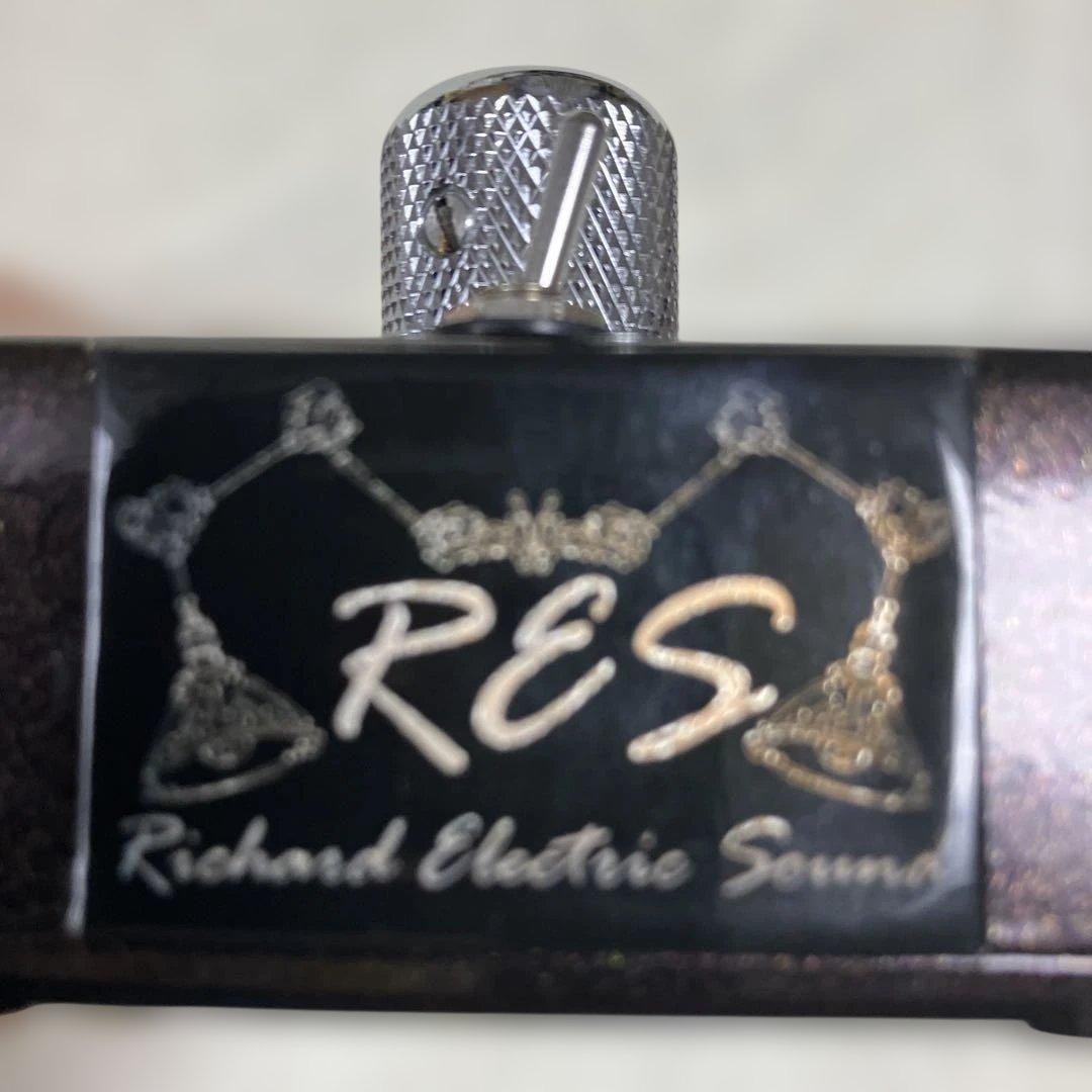 ギター R.E.SCustomRichard Efectric sound SHAURA