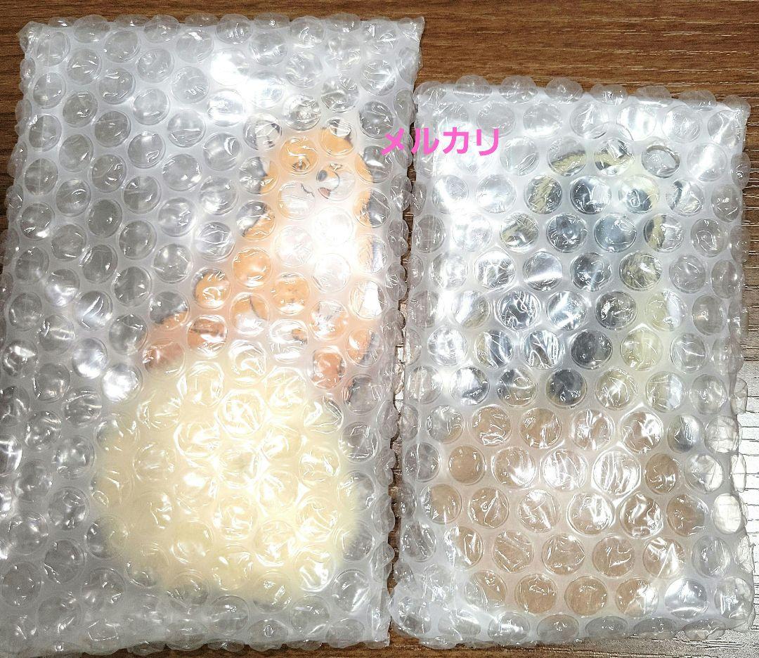 お前、タヌキにならねーか？有償特典キーホルダー２個＆アクリルスタンドプレート２枚