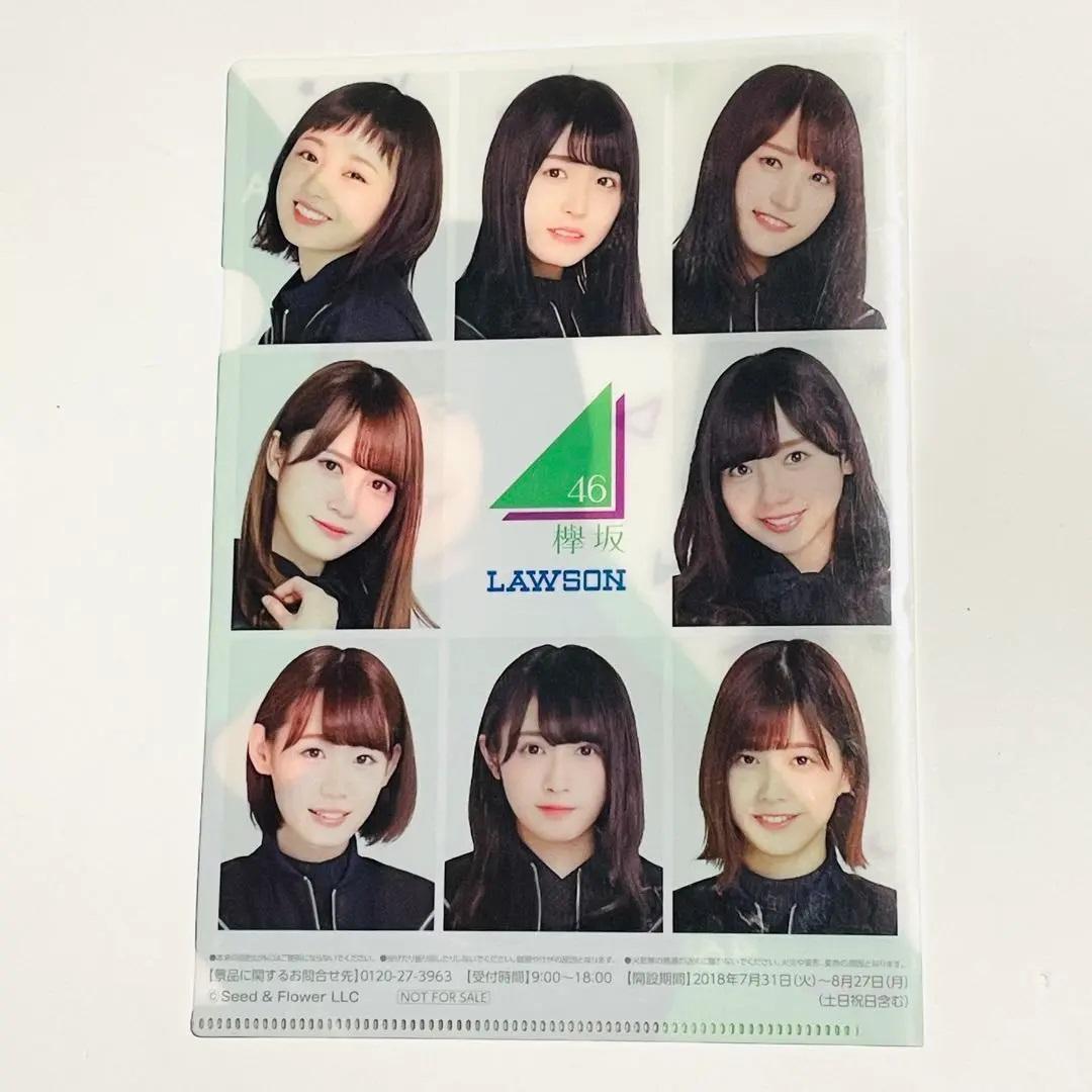 欅坂46 日向坂46 クリアファイル ポストカード