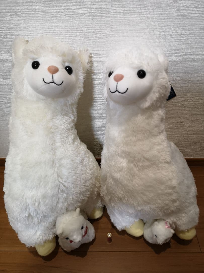 ★アルパカファミリー★