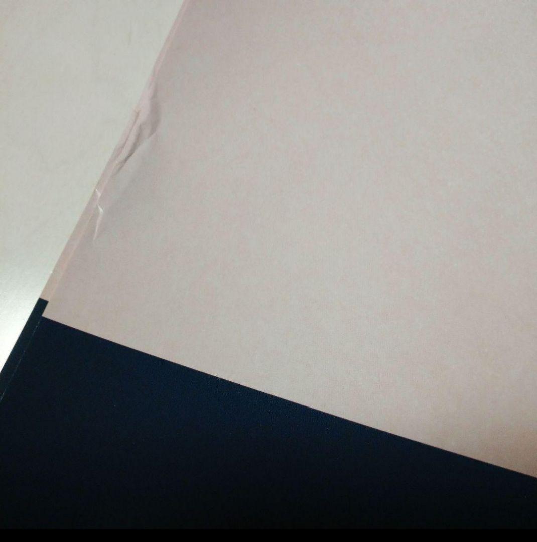 激レア！ 有村架純 プリマヴィスタ 特大ポスター B1 primavista