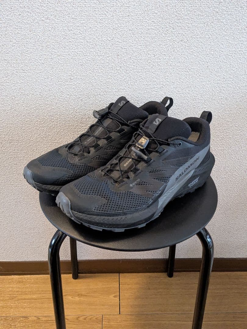 サロモン Salomon Sense Ride 5 Gore-Tex 28cm 1687-0050-co2.jpg