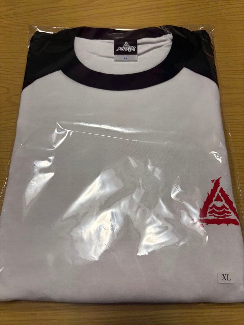 ttttoooo様お取置ハルカミライ 赤星 ラグラン XL