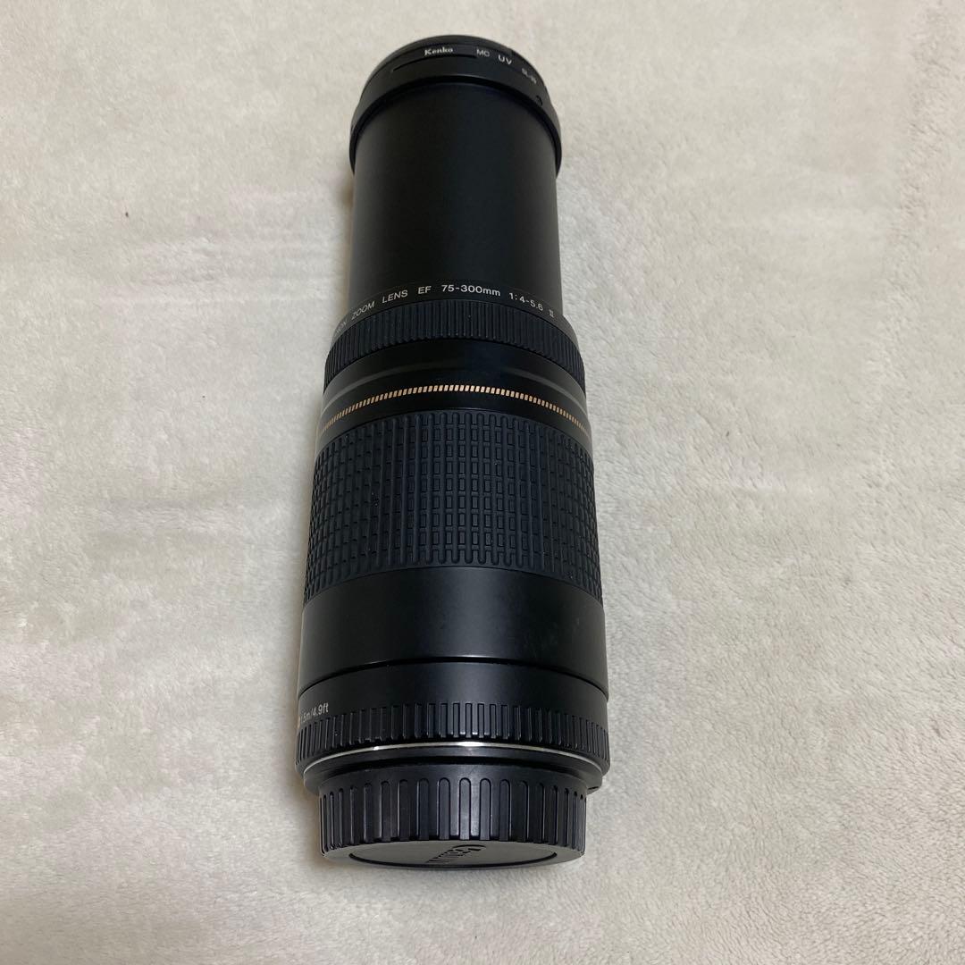 並品】Canon EF 75-300mm F4-5.6 II USM - メルカリ