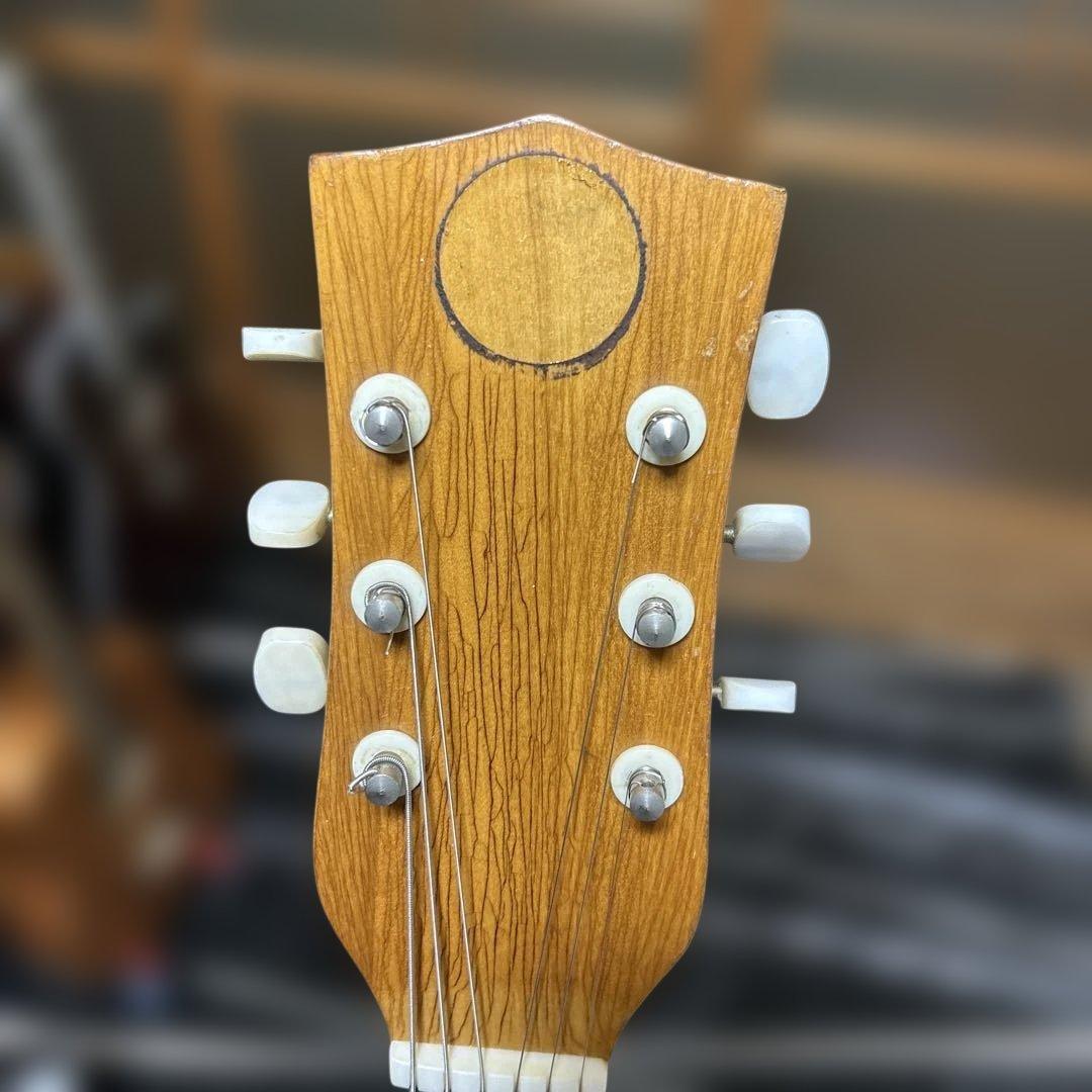 a*i様 TEISCOセミホロウボディ 3ピックアップフルアコギター