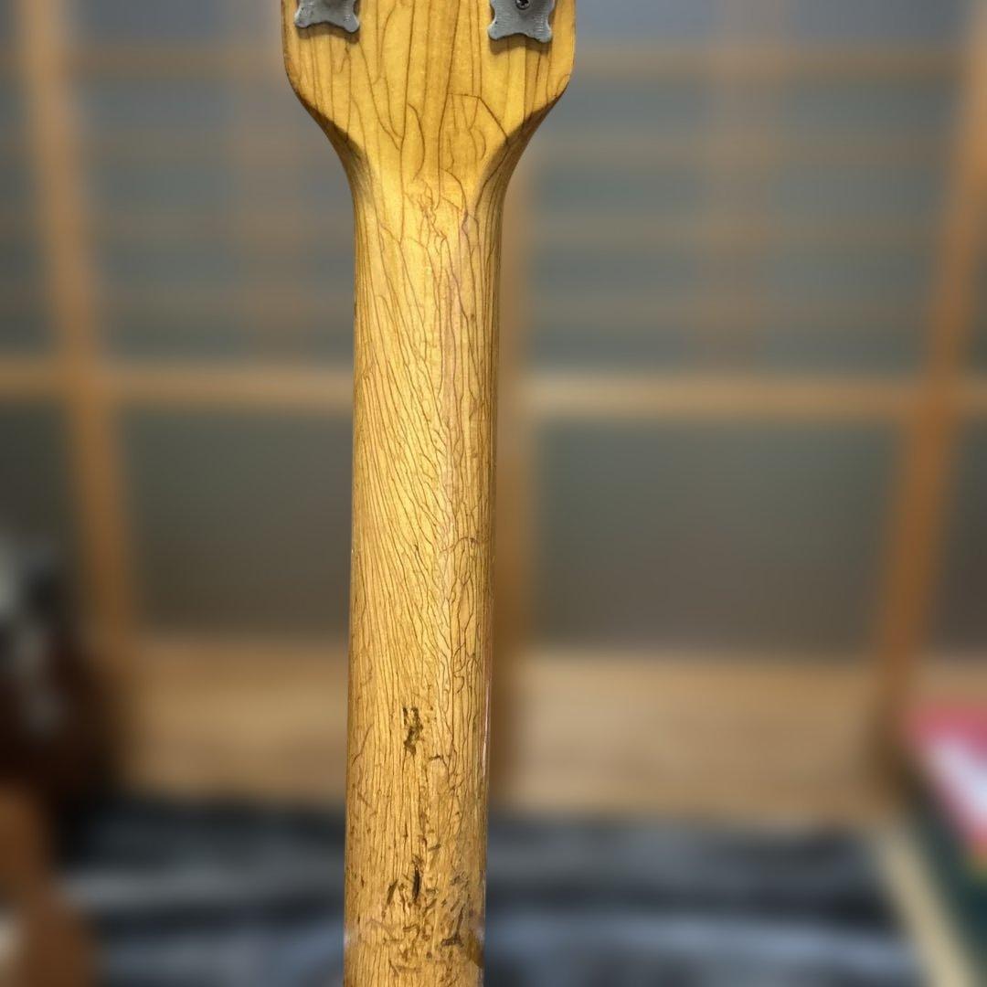 TEISCOセミホロウボディ 3ピックアップフルアコギター - メルカリ