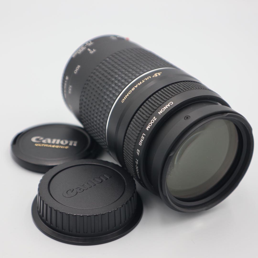 Canon EF 75-300mm F4-5.6 Ⅲ USM レンズ 楽天市場】【1年保証】キヤノン Canon EF75-300mm F4-5.6 III EF 望遠