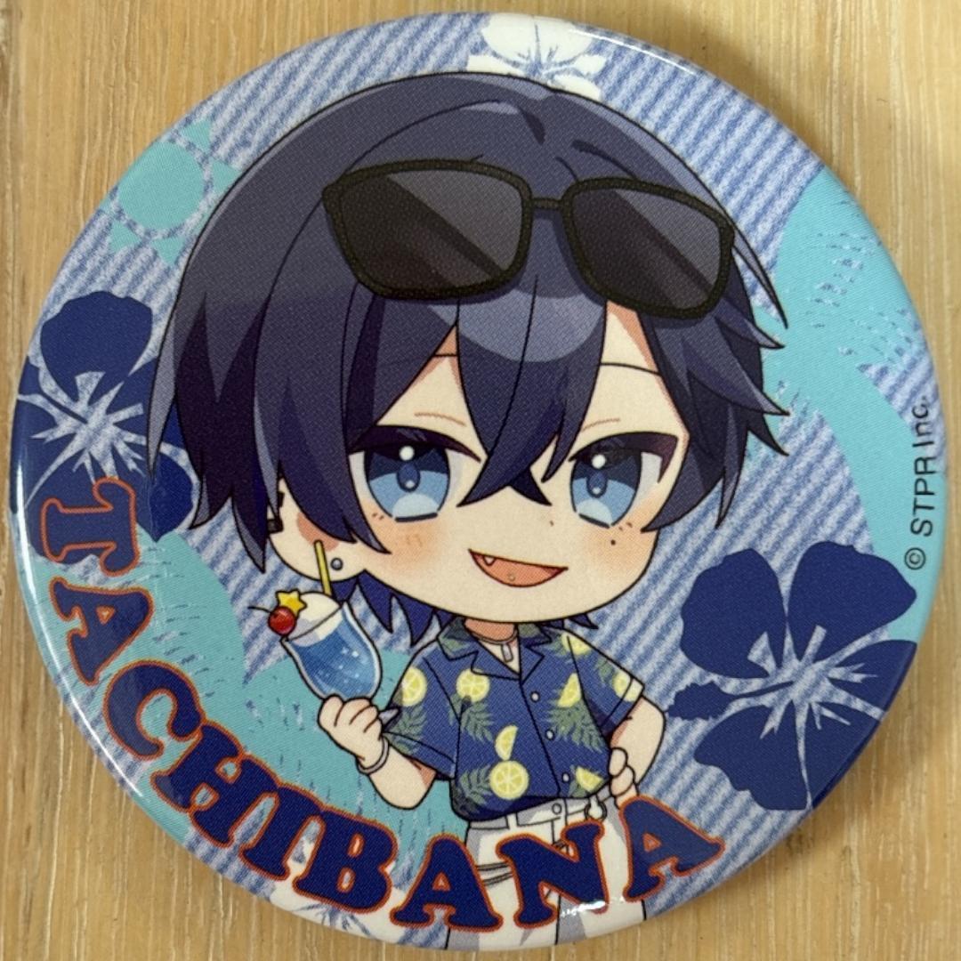 たちばな Summer ver.SD すにすて 缶バッジ 16点