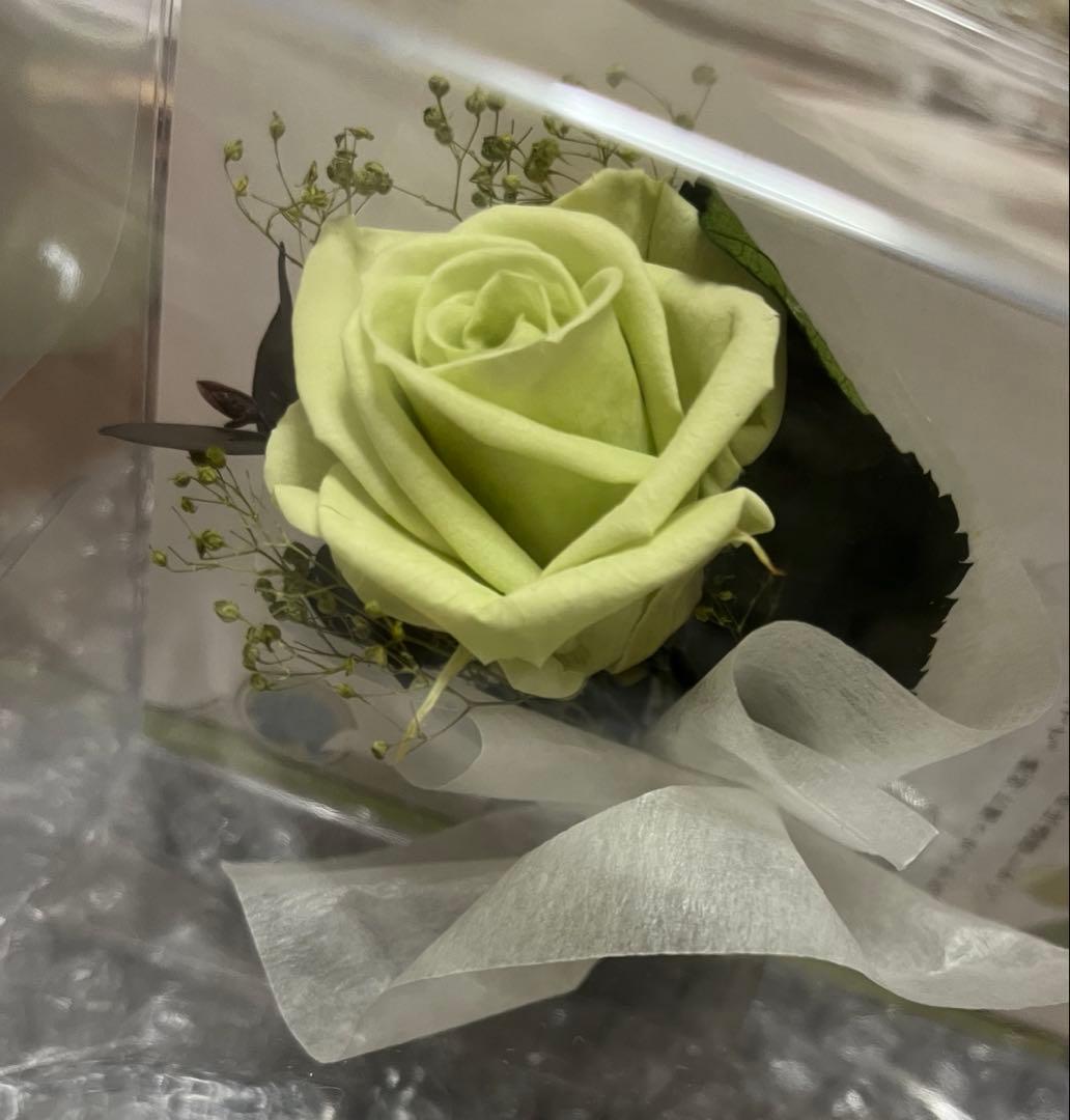 藍*。様 新品未開封 菱田春草　10周年　プリザーブドフラワー　明治東亰恋伽　め