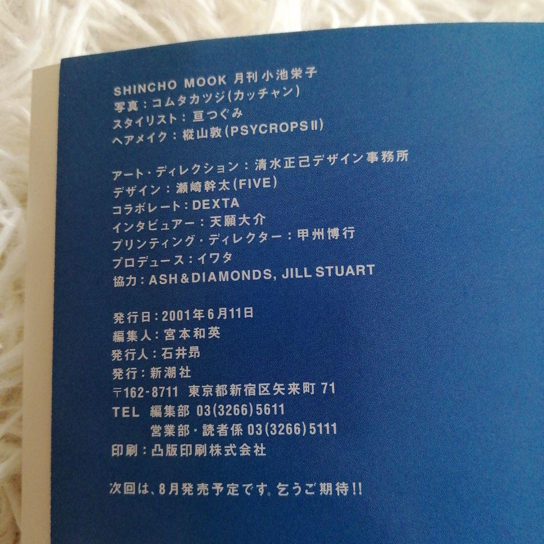 月刊 小池栄子写真集 - メルカリ