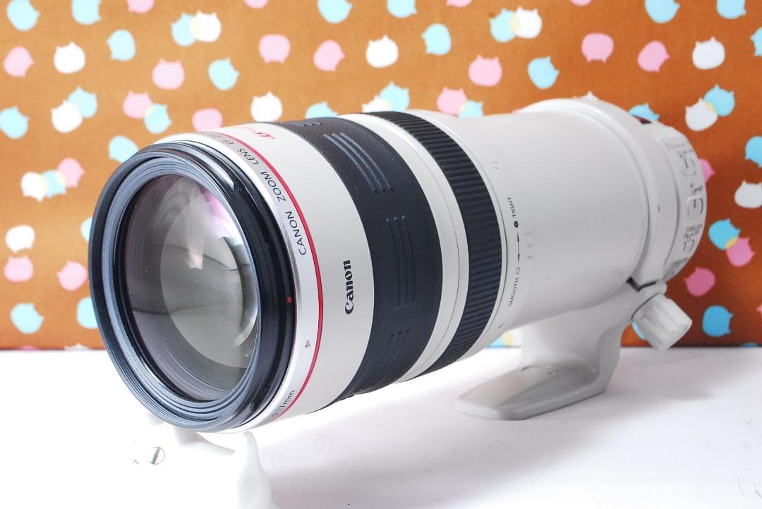 ✨超美品✨Canon EF 28-300mm F3.5-5.6 L IS USM
