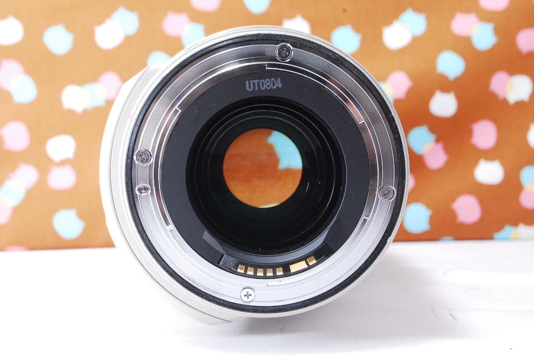 ✨超美品✨Canon EF 28-300mm F3.5-5.6 L IS USM