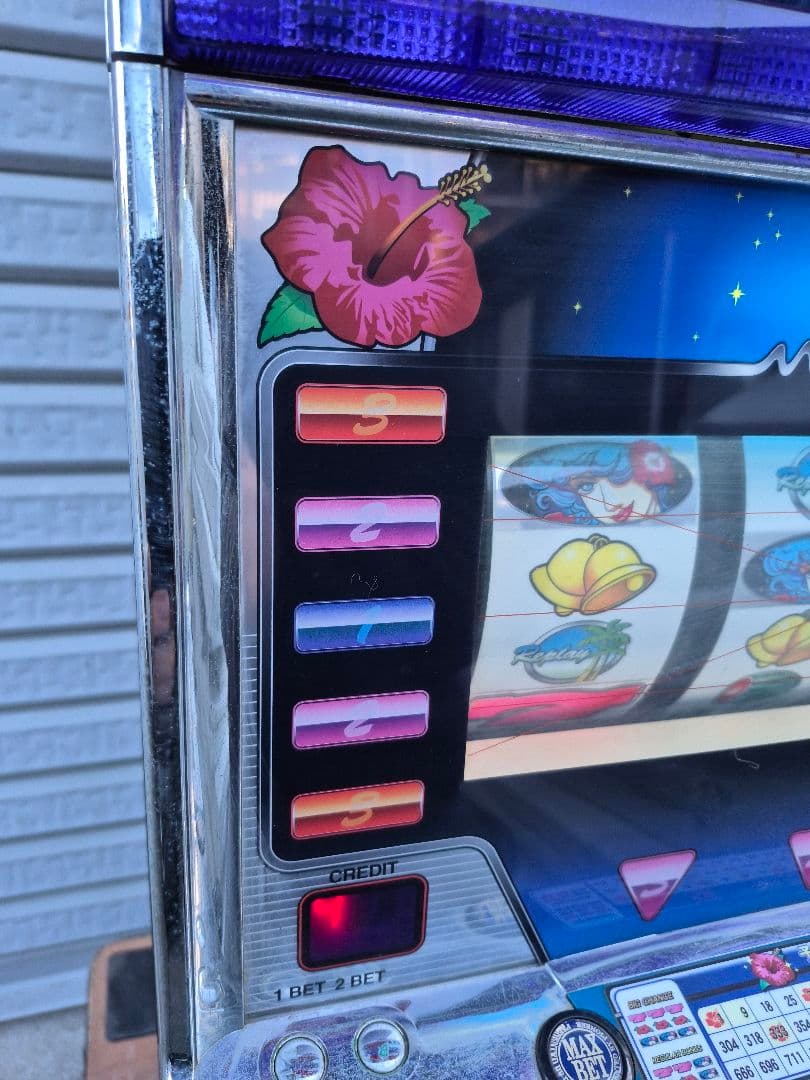 赤*目様 ビッグシオ30 実機　不要機