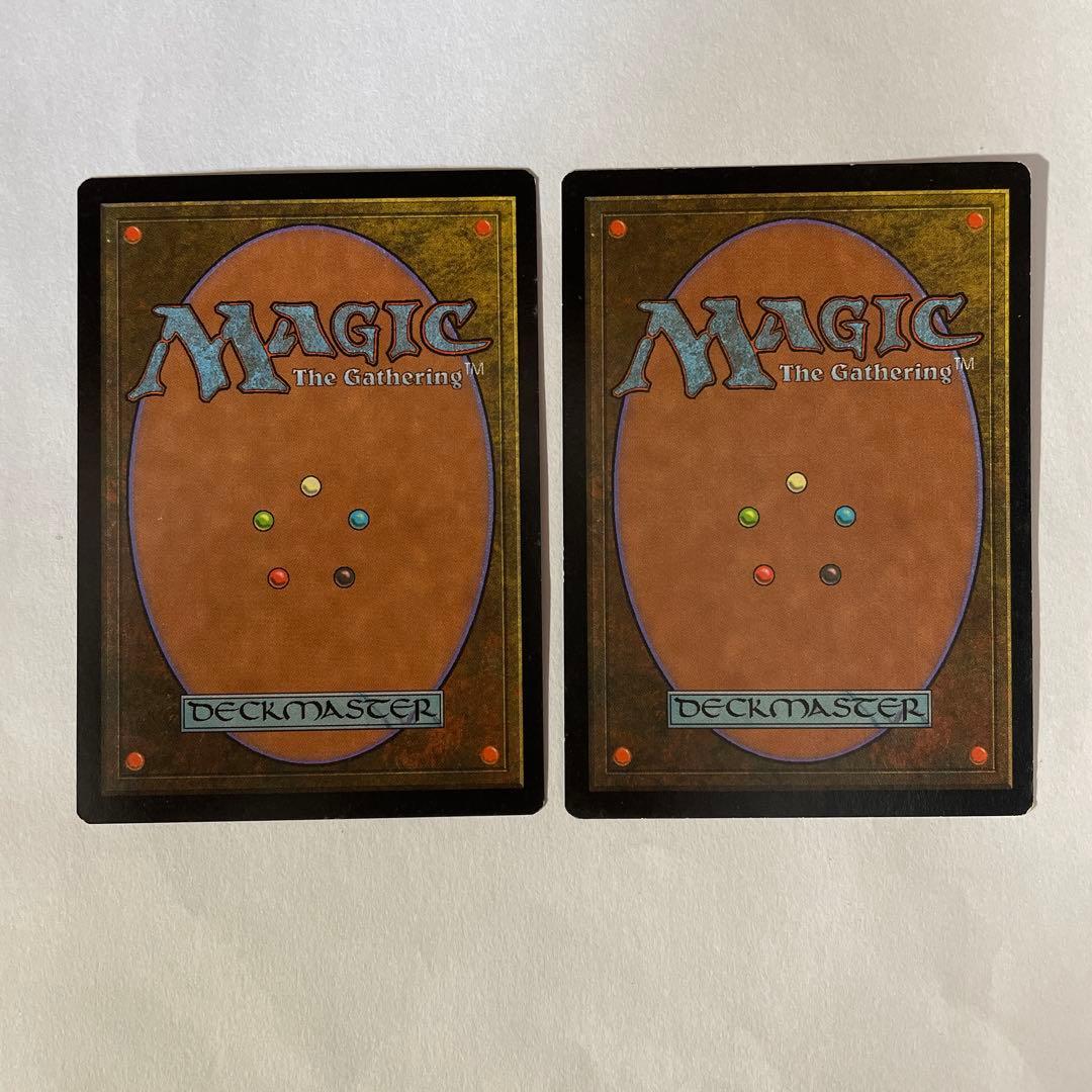 MTG 金粉のドレイク（日本語版） 2枚セット