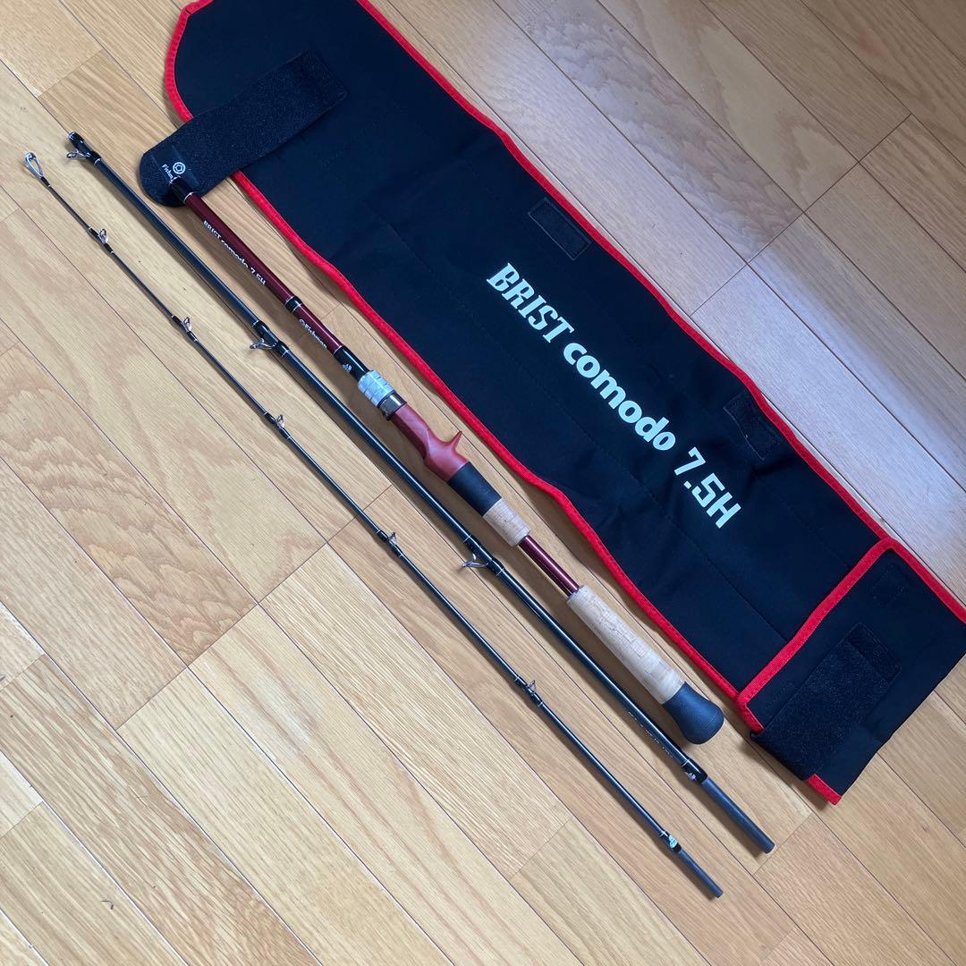 21SALTIGA IC100P L-DHローギア