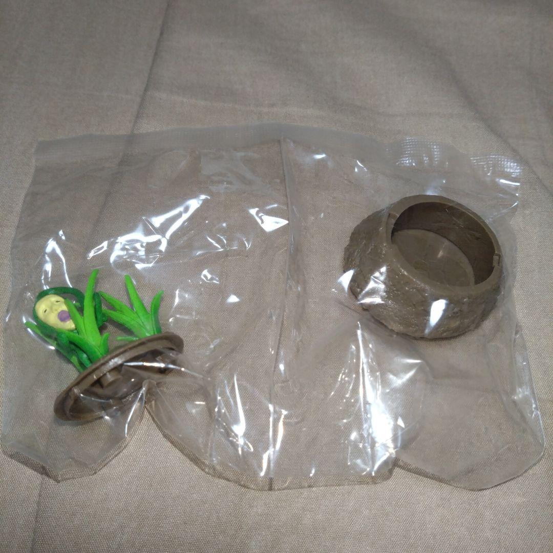 【未使用】リーメント ドキドキ発見！ こびとづかん ミニケース＋産地直送とれたて