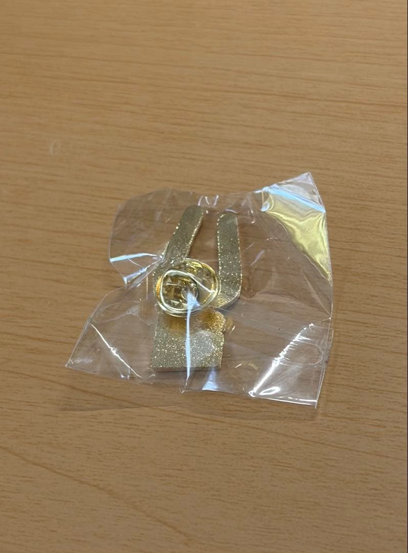 大阪関西万博2025 ドミニカ共和国ピンバッジ - メルカリ