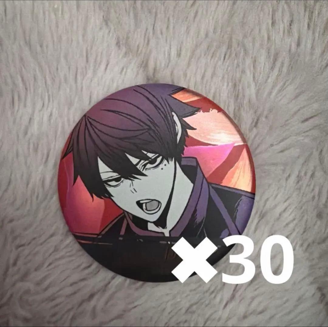 桃源暗鬼 一ノ瀬四季 メタリック缶バッジ 30点セット - メルカリ