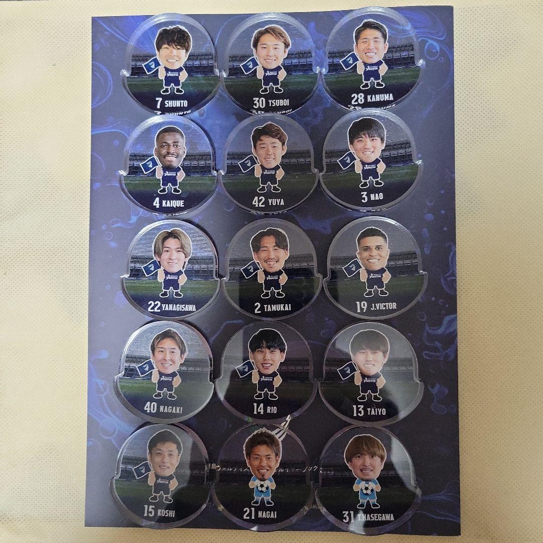 徳島ヴォルティスゆらゆらアクリル 徳島ヴォルティス ゆらゆらアクリル 徳島ヴォルティスゆらゆらアクリル