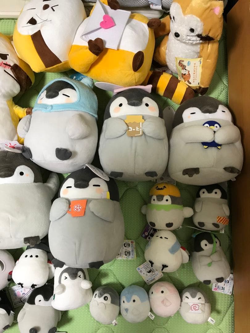 あらいぐまラスカル　コウペンちゃん　ぬいぐるみ