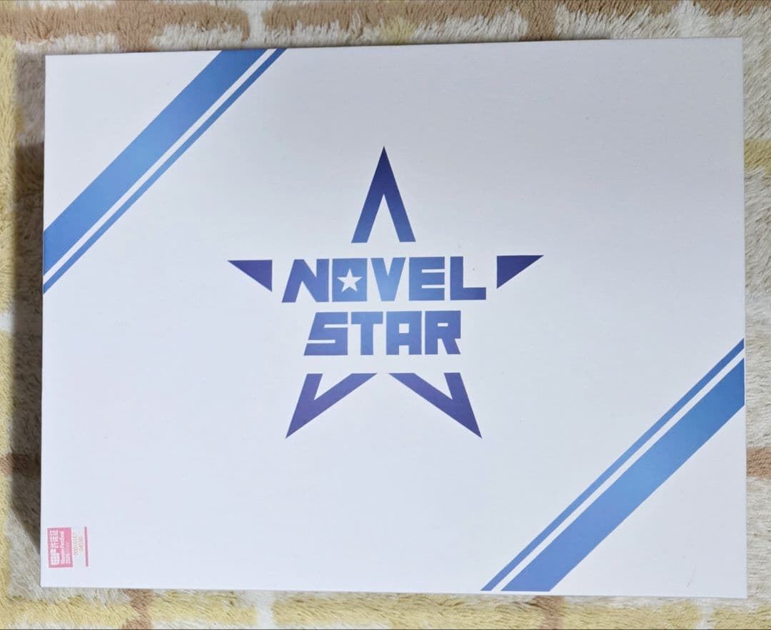 空崎ヒナ 猫ランジェリーver みなも 描き下ろしイラスト Novel Star