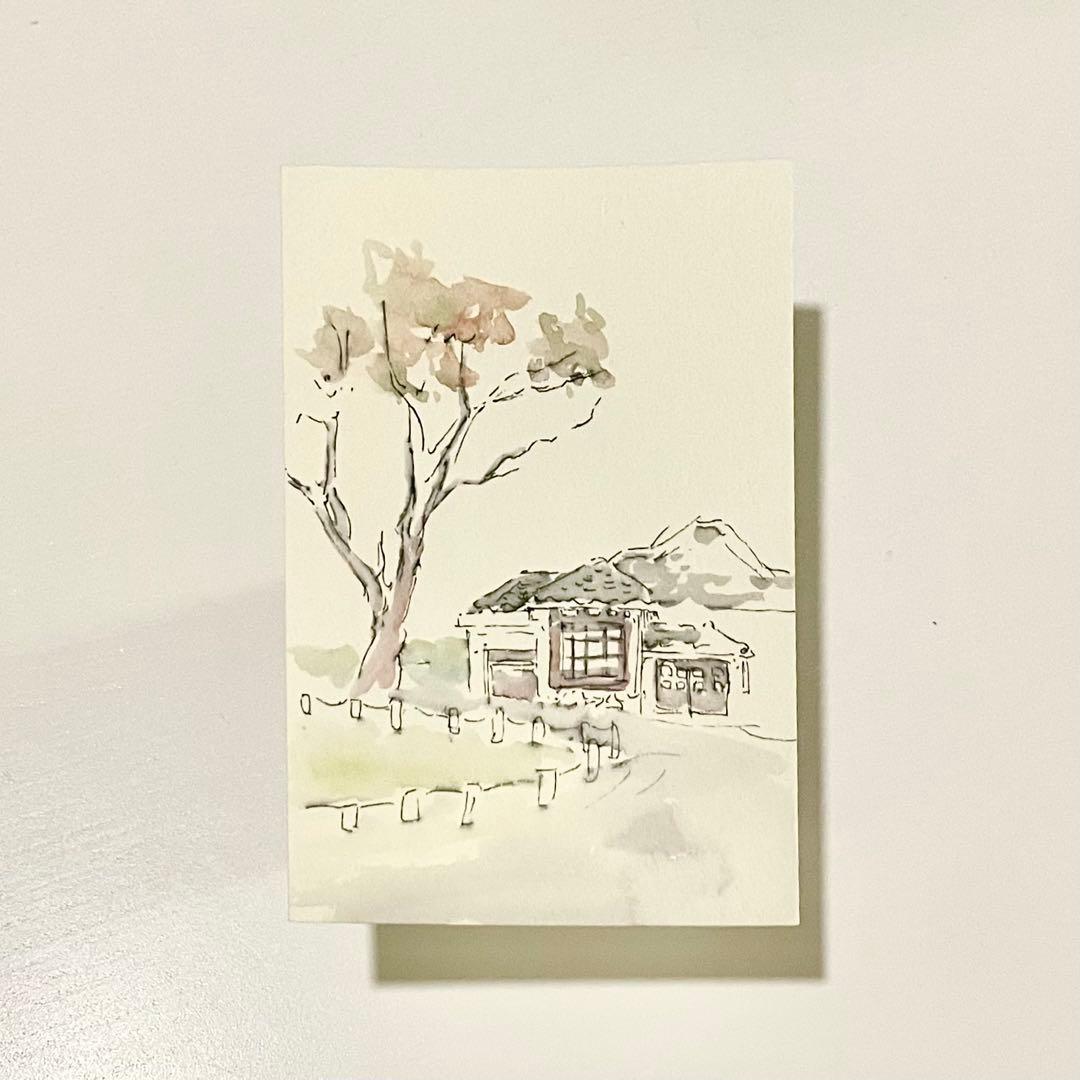 ☆ 坂本直行 ☆「 れんぎょう 」水彩画1982年3月作証明書有り未使用！