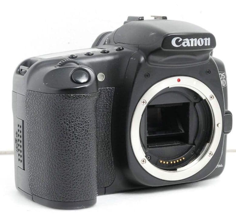 CANON EOS 20D 広角から望遠まで✨️一眼レフ⚡️初心者⚡️キャノン